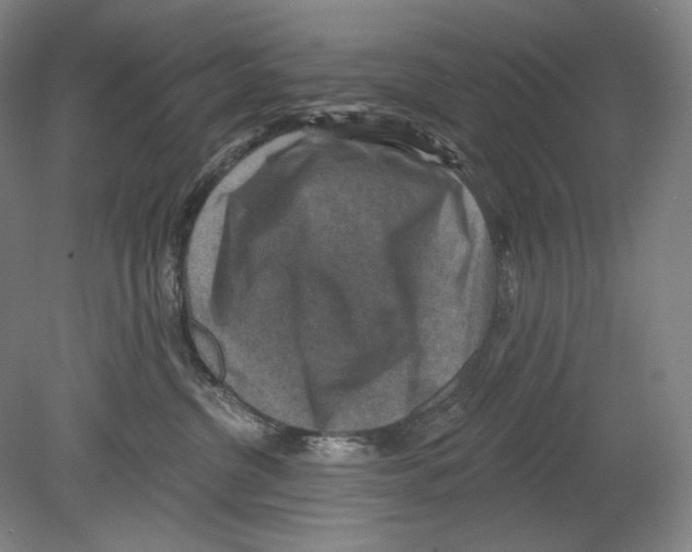 X0000078850380200612111628