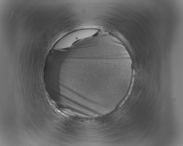 X0000078850385200612111627