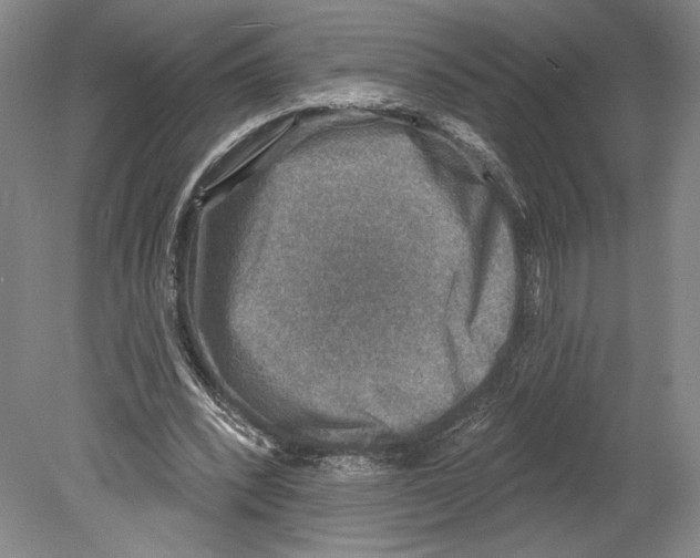 X0000078850392200612111627