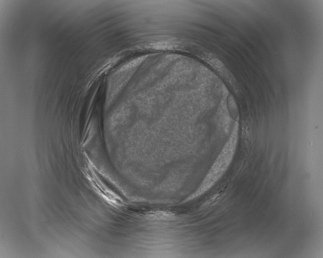 X0000078850397200612111627