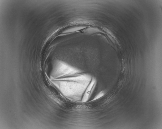 X0000078850399200612111627