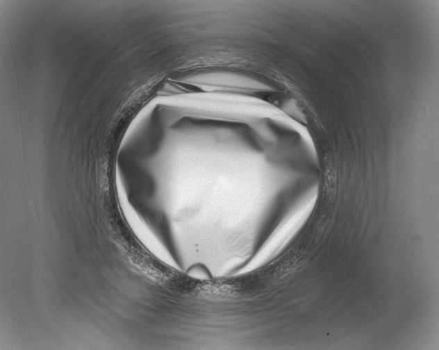 X0000078850403200612111627