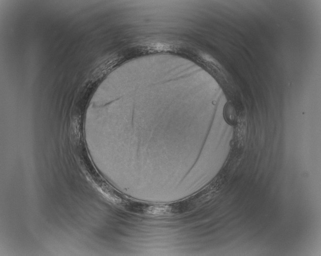 X0000078850410200612111627