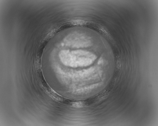 X0000078850411200612111627