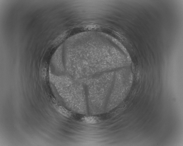 X0000078850417200612111626