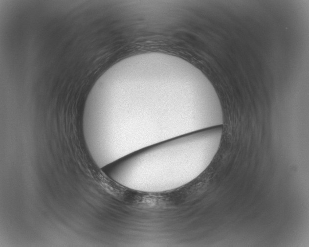 X0000078850420200612111626