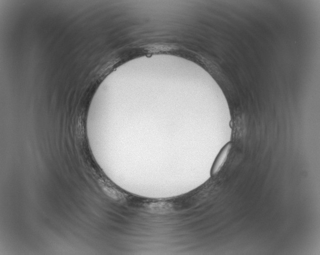 X0000078850426200612111626