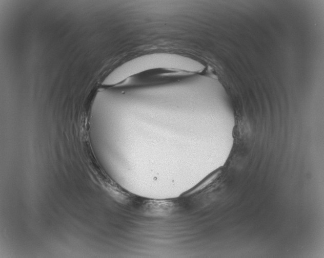 X0000078850429200612111626