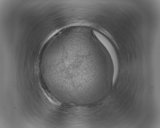 X0000078850436200612111625