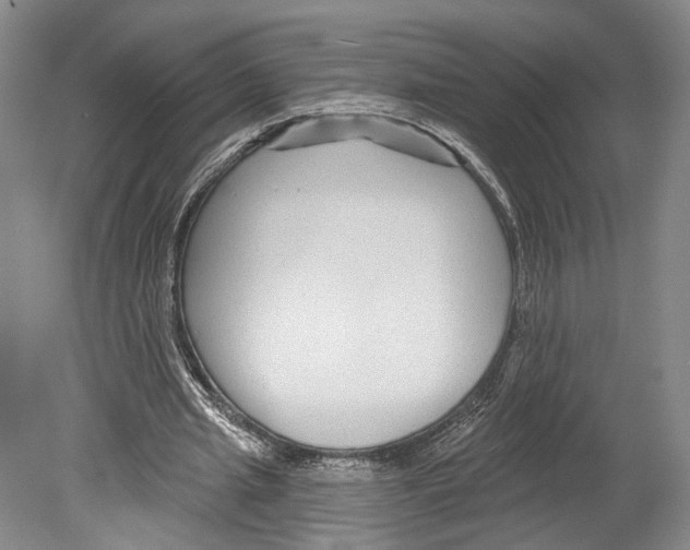 X0000078850437200612111625