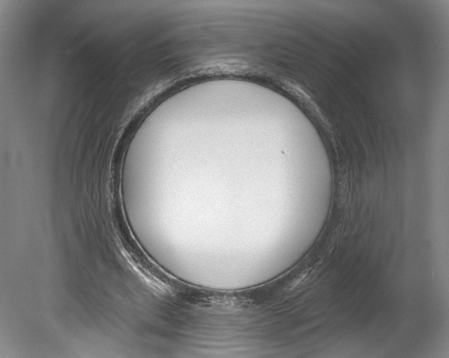 X0000078850439200612111625