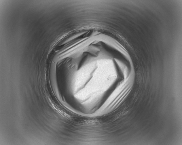 X0000078850446200612111626