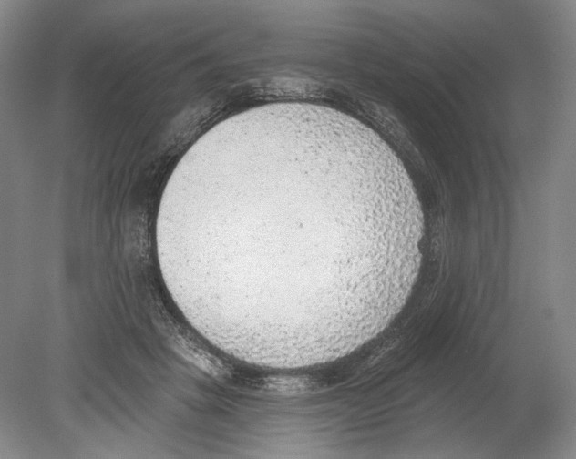 X0000078850457200612111626