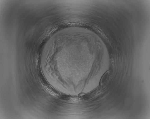 X0000078850458200612111626
