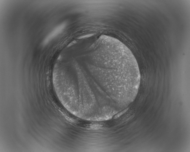 X0000078850462200612111626