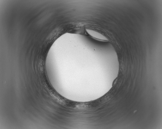 X0000078850470200612111626
