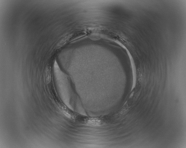X0000078850471200612111626