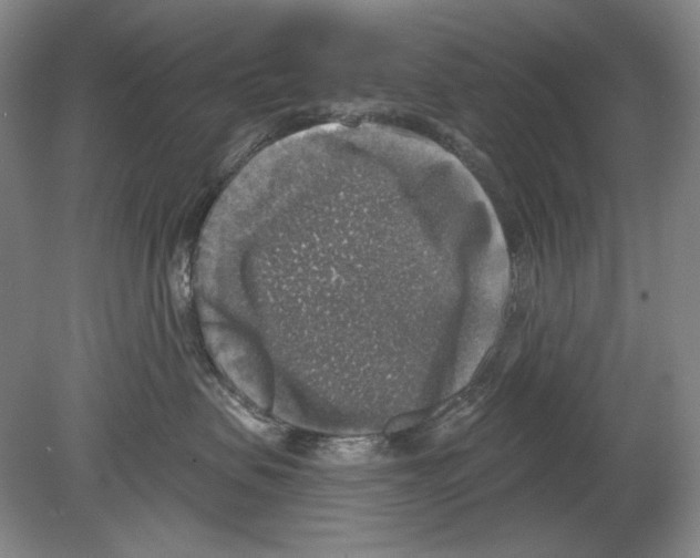 X0000078850479200612111626
