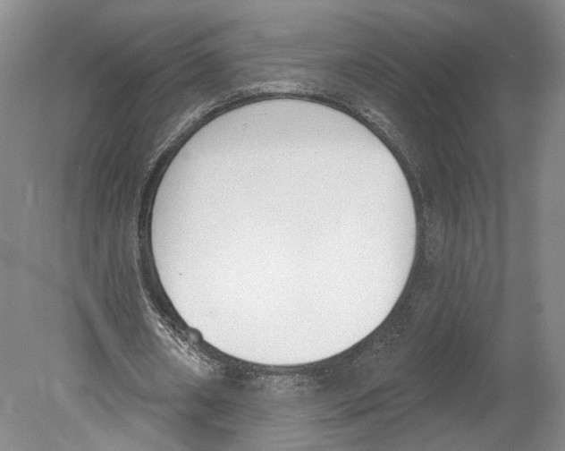X0000078850482200612111625