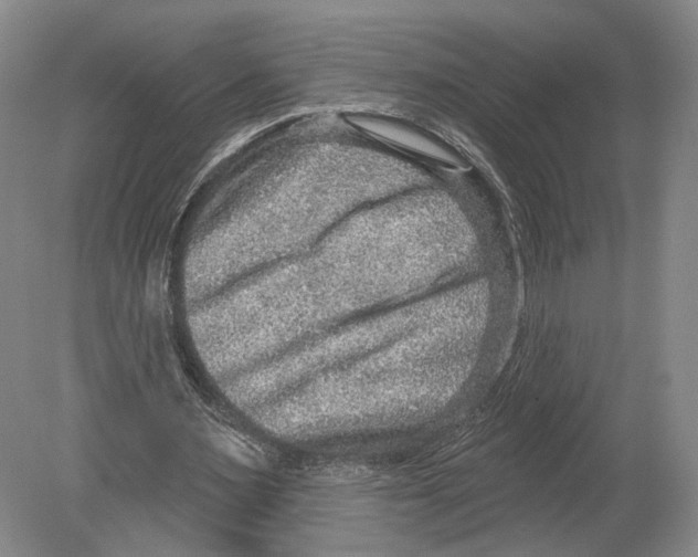 X0000078850483200612111625