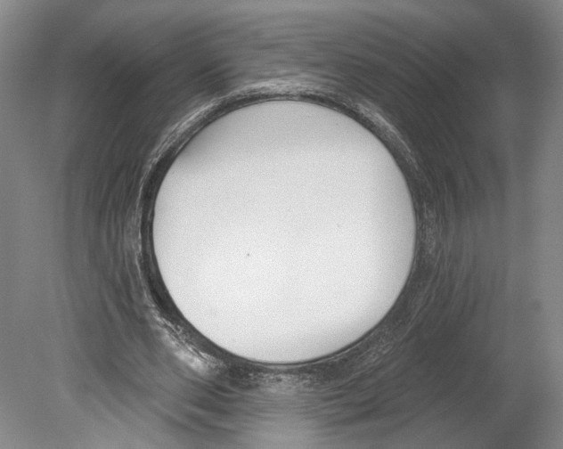X0000078850486200612111625