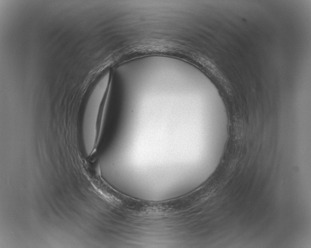 X0000078850489200612111625
