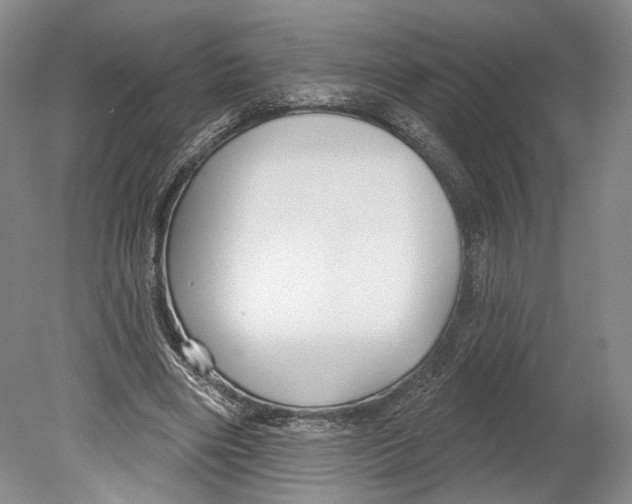 X0000078850490200612111625