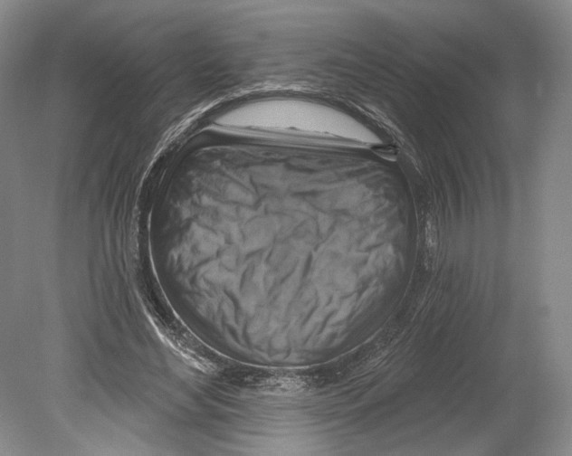 X0000078850492200612111625