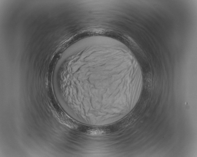 X0000078850500200612111625