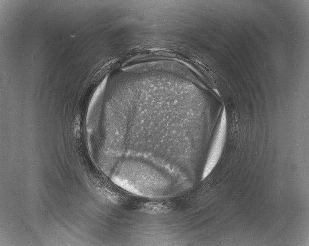 X0000078850502200612111625
