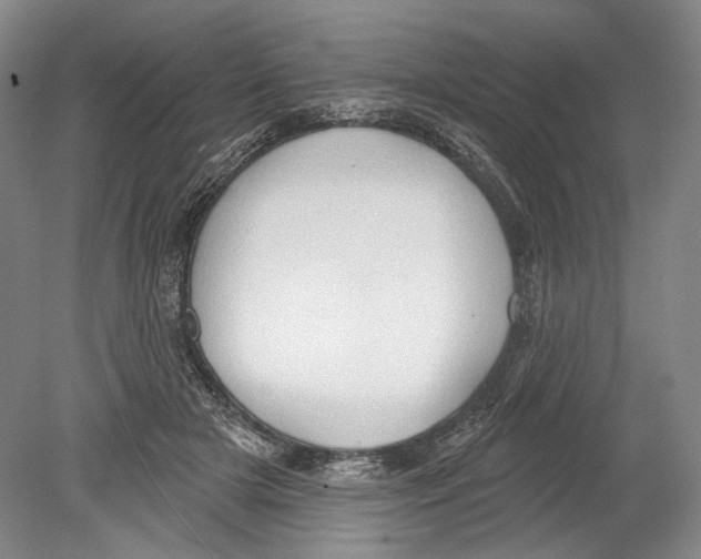X0000078850505200612111625