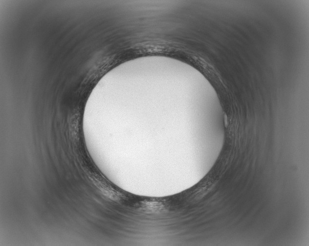 X0000078850509200612111625