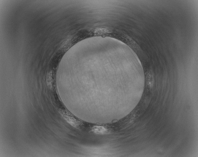 X0000078850519200612111625