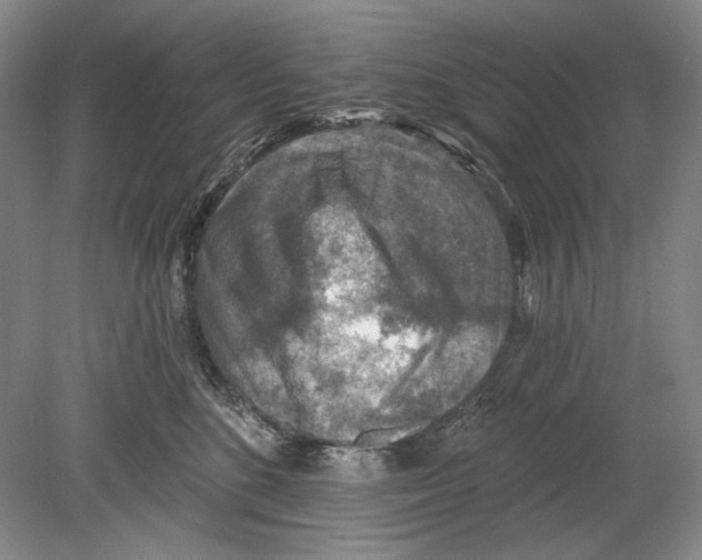 X0000078850520200612111625