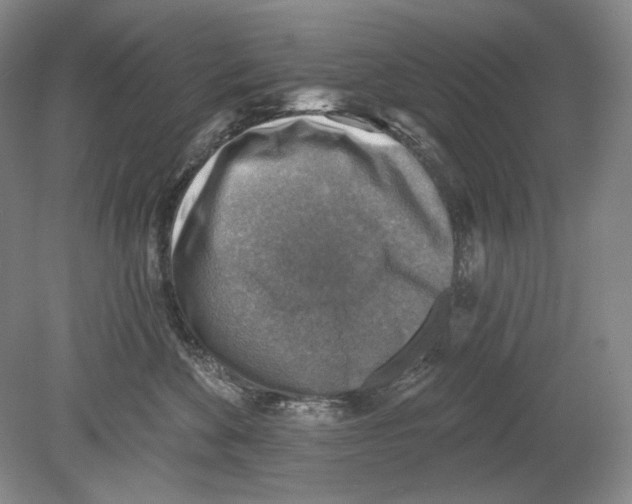 X0000078850524200612111625