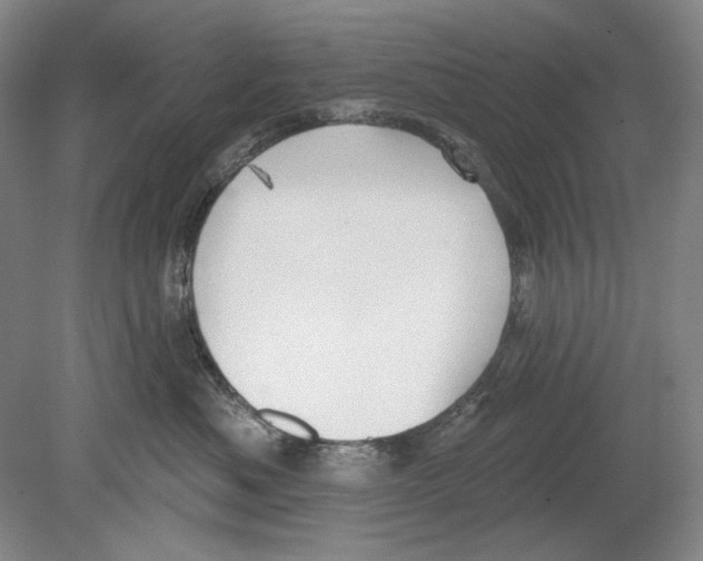 X0000078850525200612111625