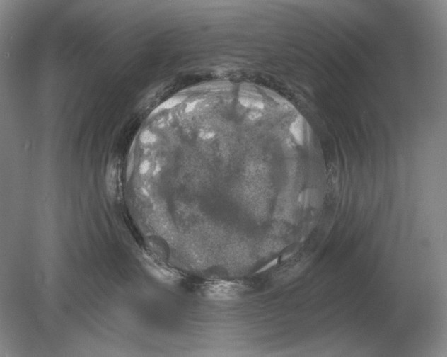 X0000078850527200612111625