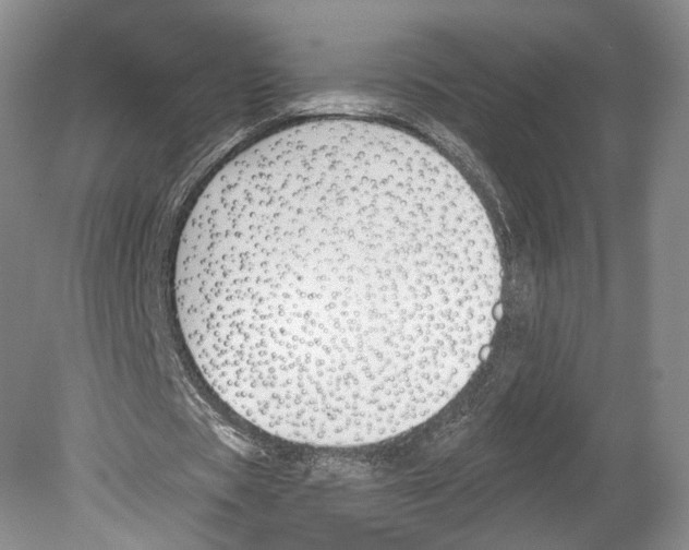 X0000078850529200612111624