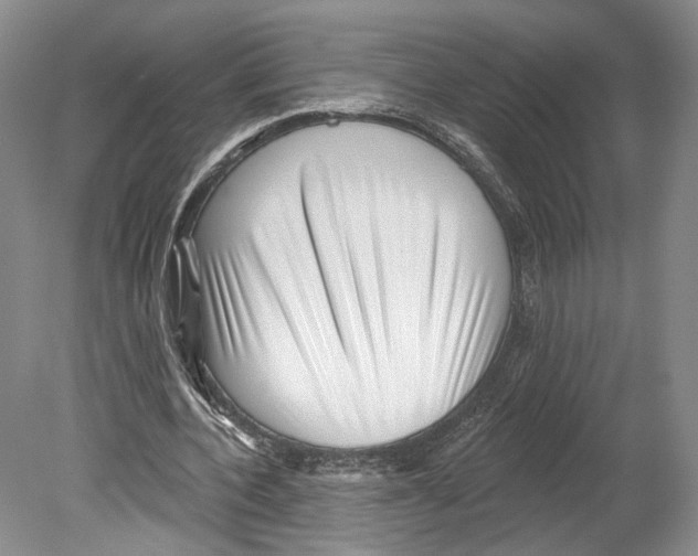 X0000078850532200612111624