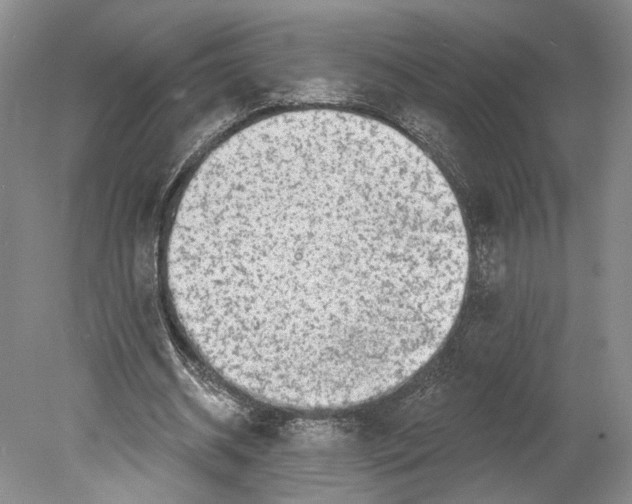 X0000078850534200612111624