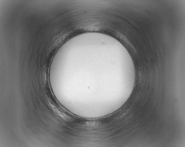 X0000078850541200612111624