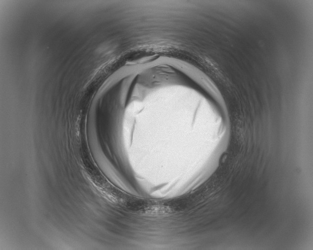 X0000078850543200612111624