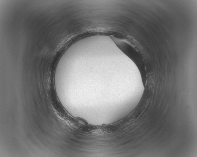X0000078850544200612111624