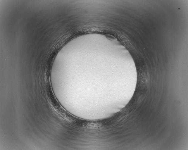 X0000078850546200612111624