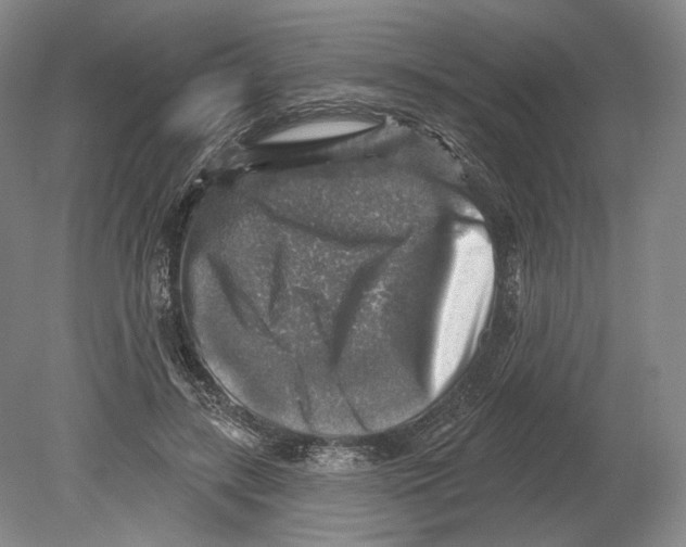 X0000078850547200612111624