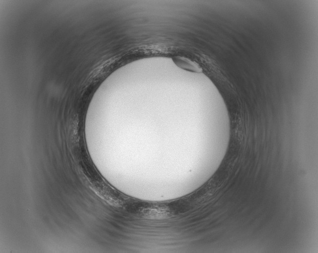 X0000078850548200612111624