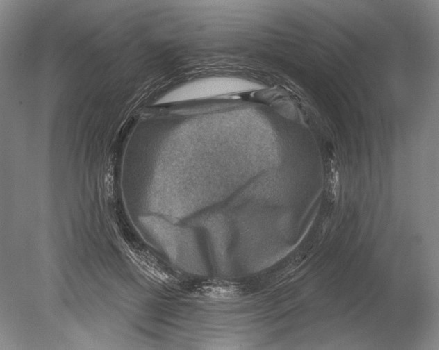 X0000078850552200612111624
