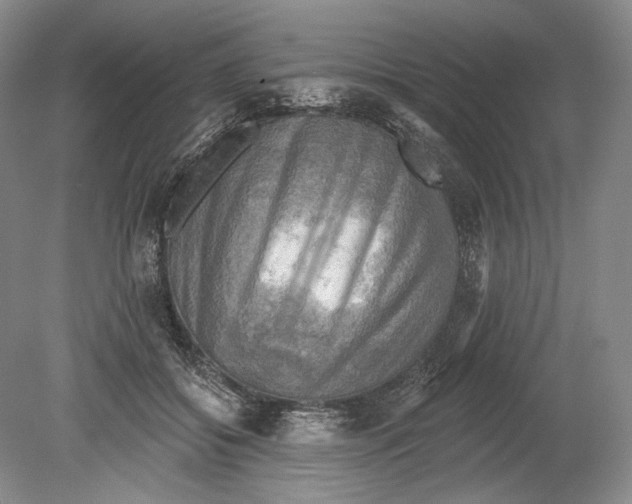 X0000078850556200612111624