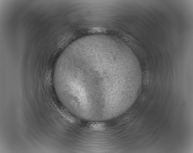 X0000078850560200612111624