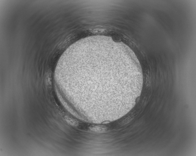 X0000078850561200612111624